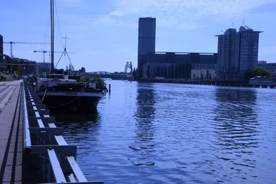 DSC_1736 (Large).JPG